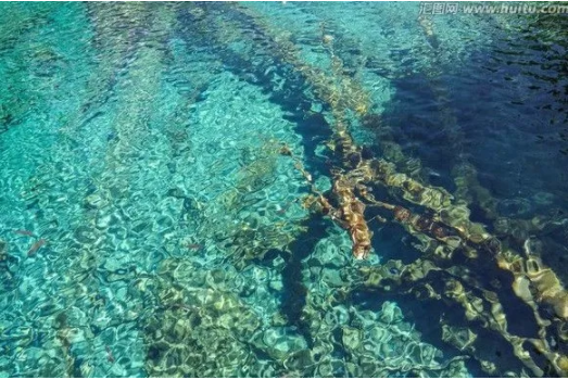 環保人必須了解的水質等級和污水處理標準